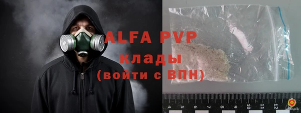 индика Сафоново