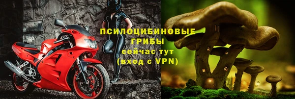 прущие крисы Саяногорск